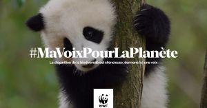campagne-wwf-biodiversite-panda